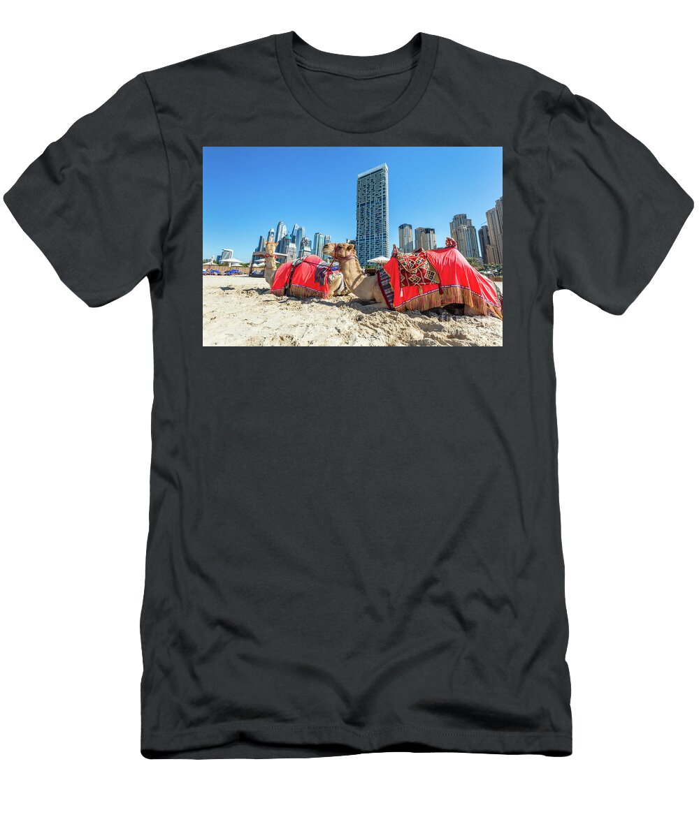 1 Camels on Dubai Jumeirah Beach with Marina Skyscrapers in Uae Michal Bednarek T-Shirt