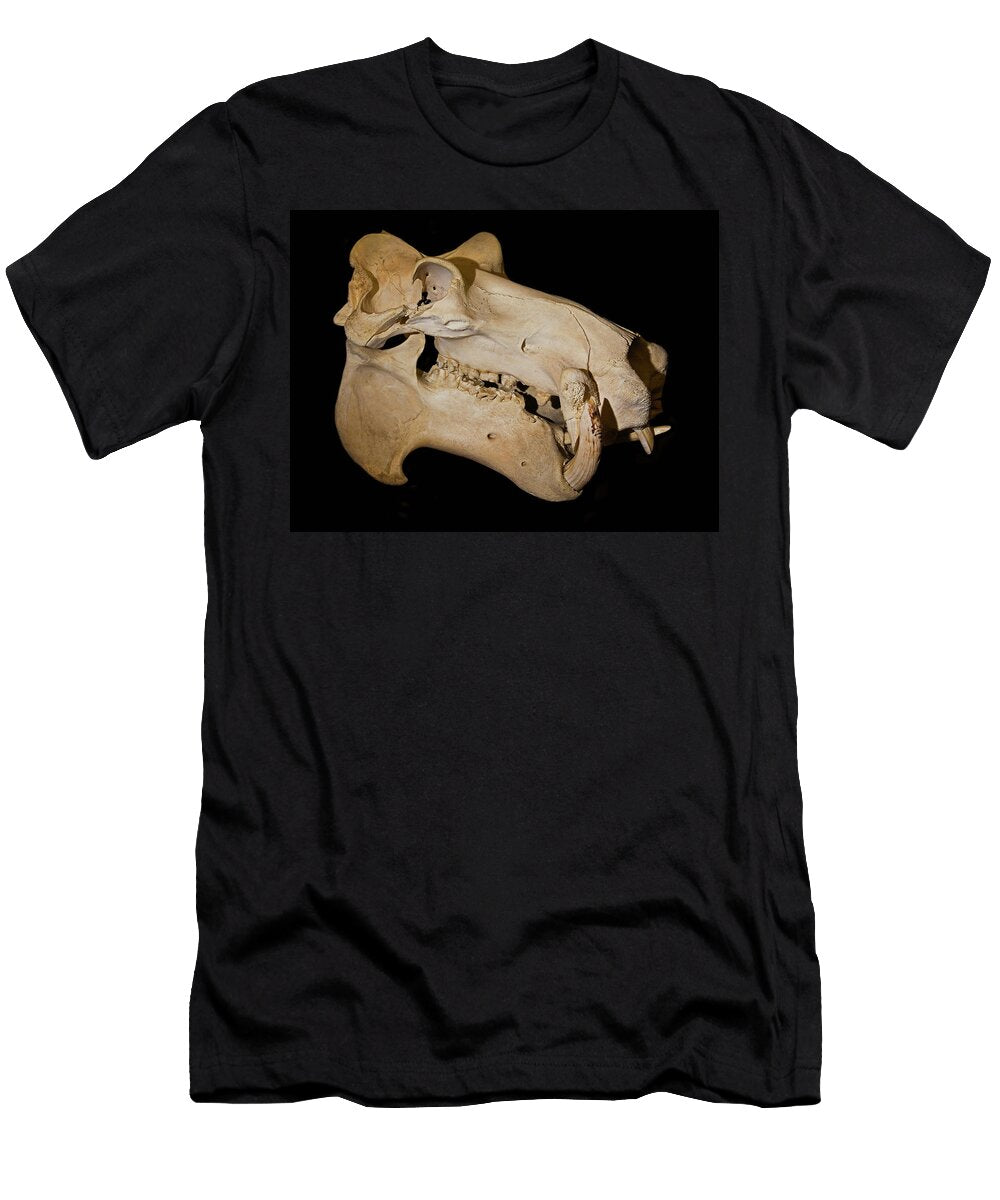 1 Hippopotamus Skull Millard H Sharp T-Shirt