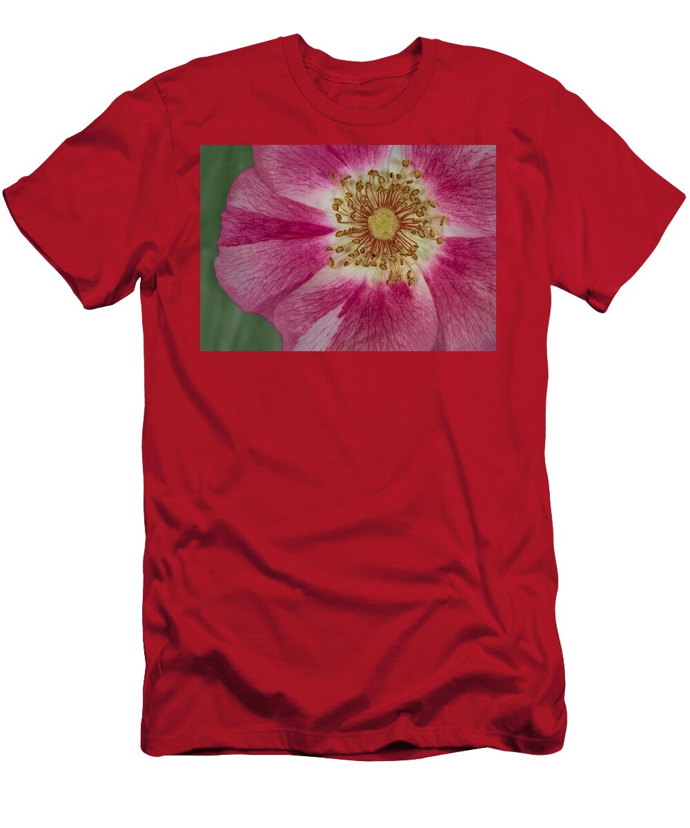 1 Up Close Susan Candelario T-Shirt