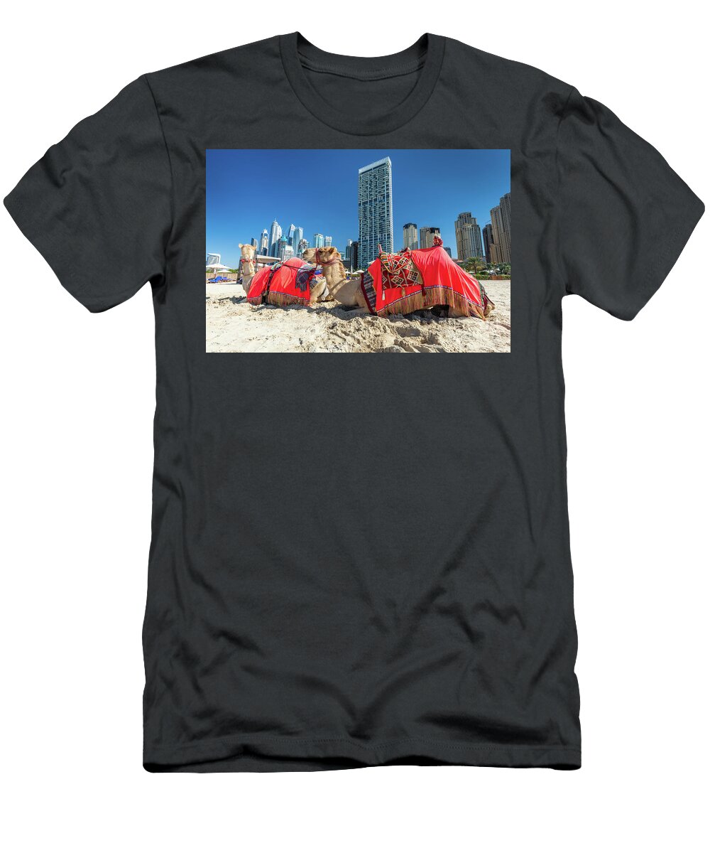 2 Camels on Dubai Jumeirah Beach with Marina Skyscrapers in Uae Michal Bednarek T-Shirt