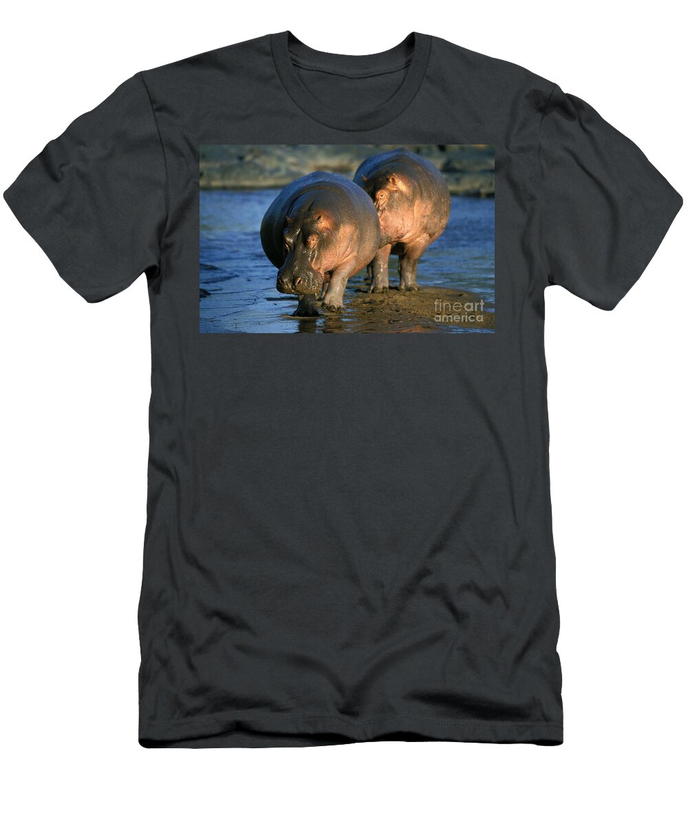 3 Hippopotamus Hippopotamus Amphibius Gerard Lacz T-Shirt