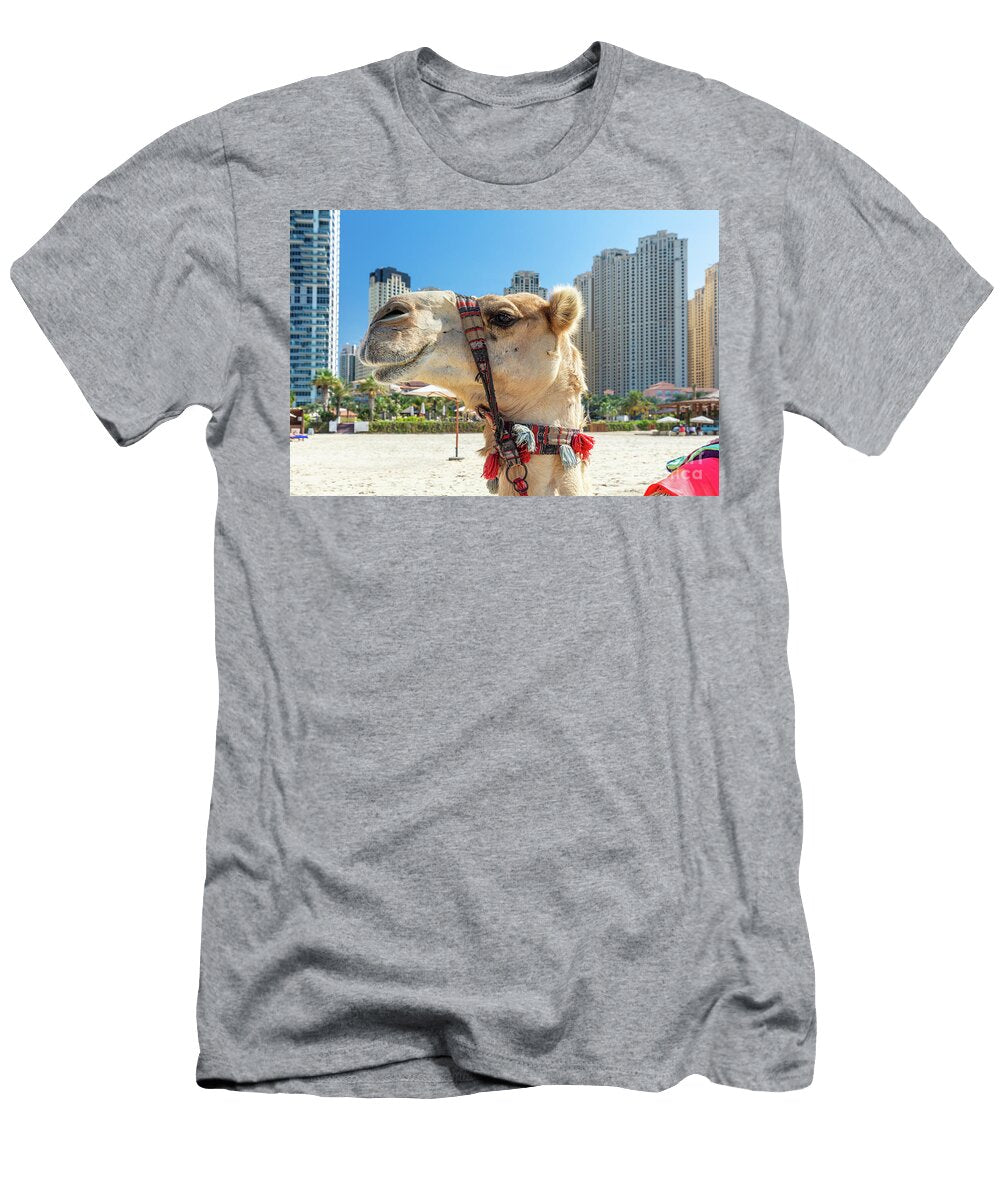 4 Camel on Dubai Jumeirah Beach with Marina Skyscrapers in Uae Michal Bednarek T-Shirt