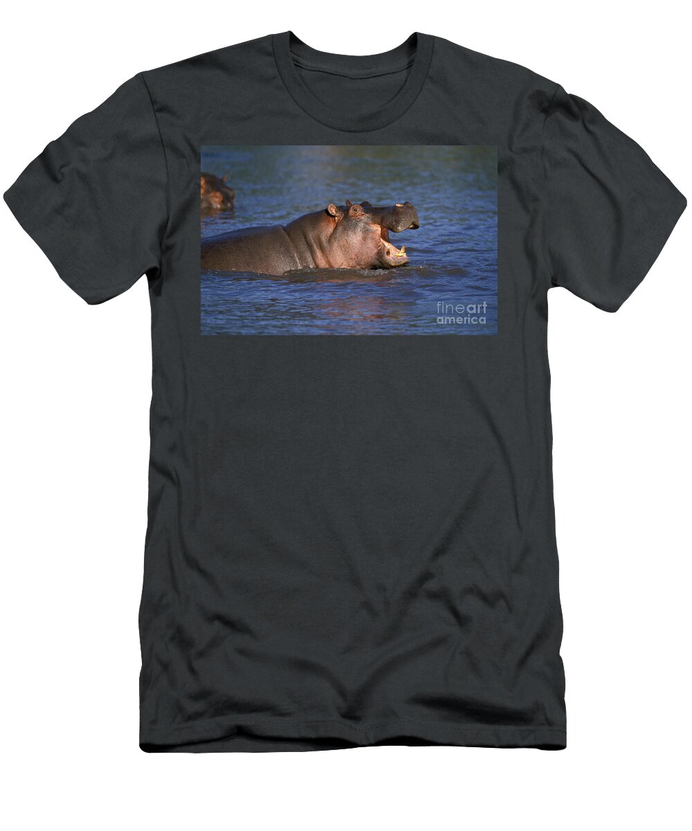 4 Hippopotamus Hippopotamus Amphibius Gerard Lacz T-Shirt