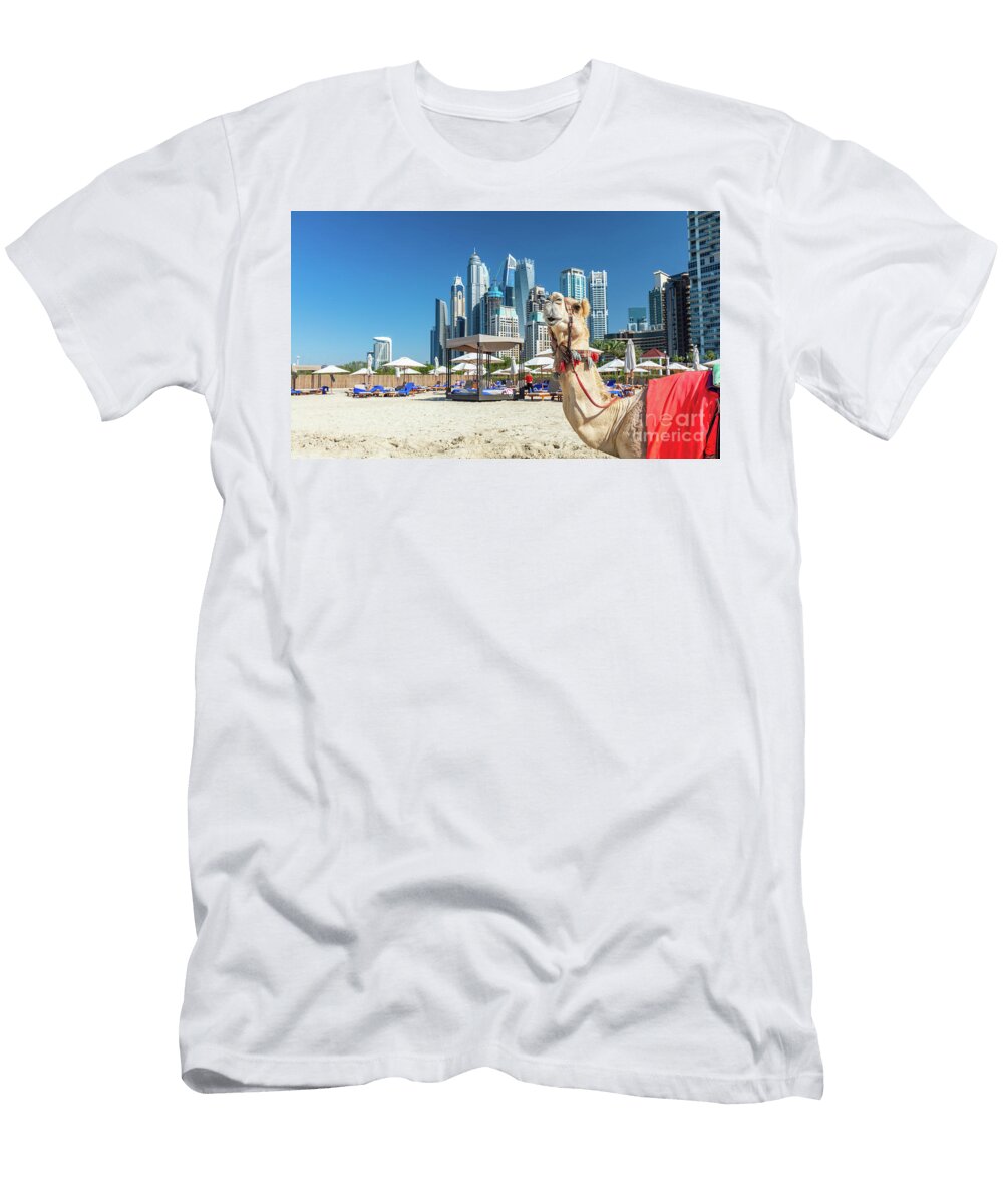 5 Camel on Dubai Jumeirah Beach with Marina Skyscrapers in Uae Michal Bednarek T-Shirt