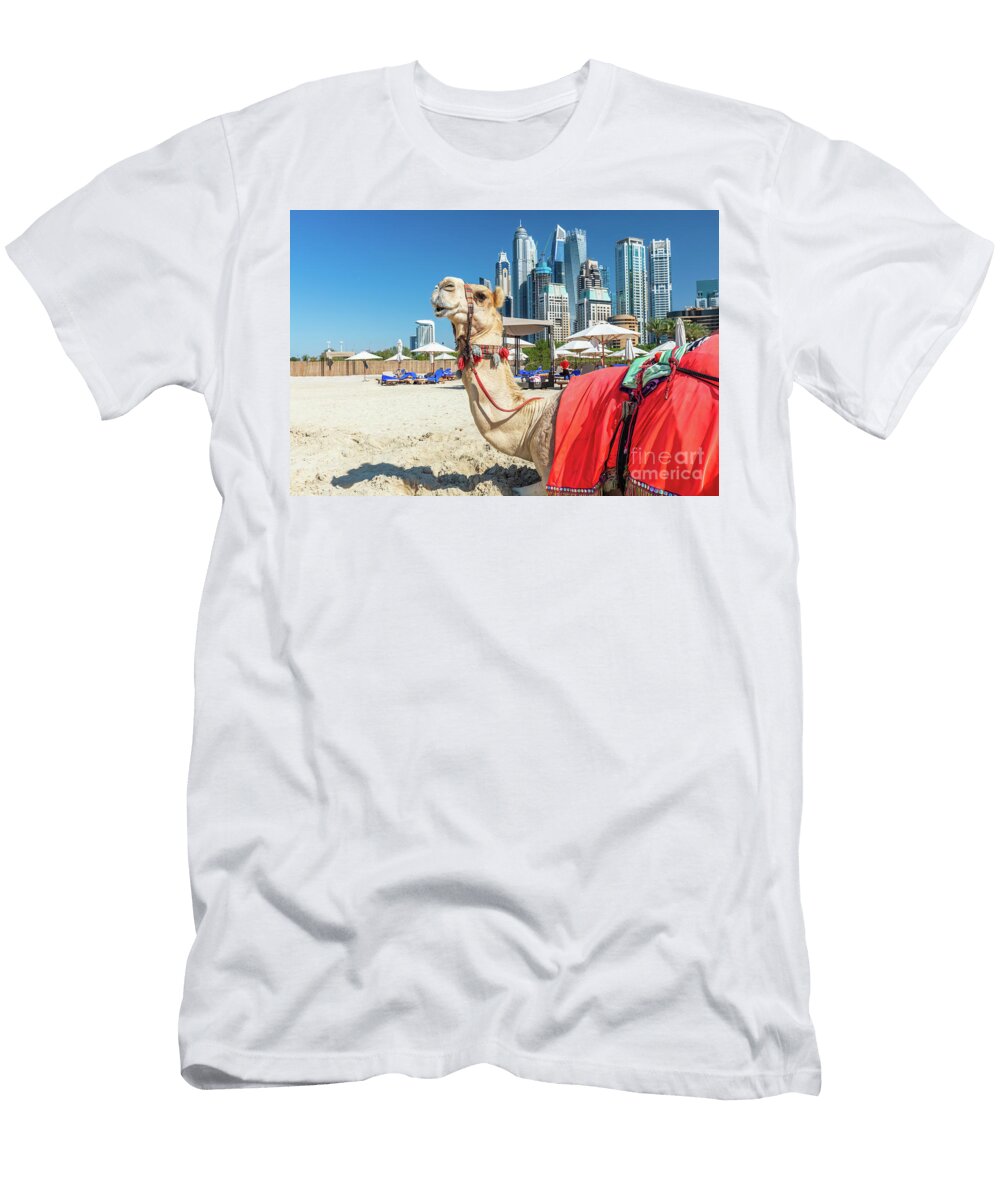 6 Camel on Dubai Jumeirah Beach with Marina Skyscrapers in Uae Michal Bednarek T-Shirt