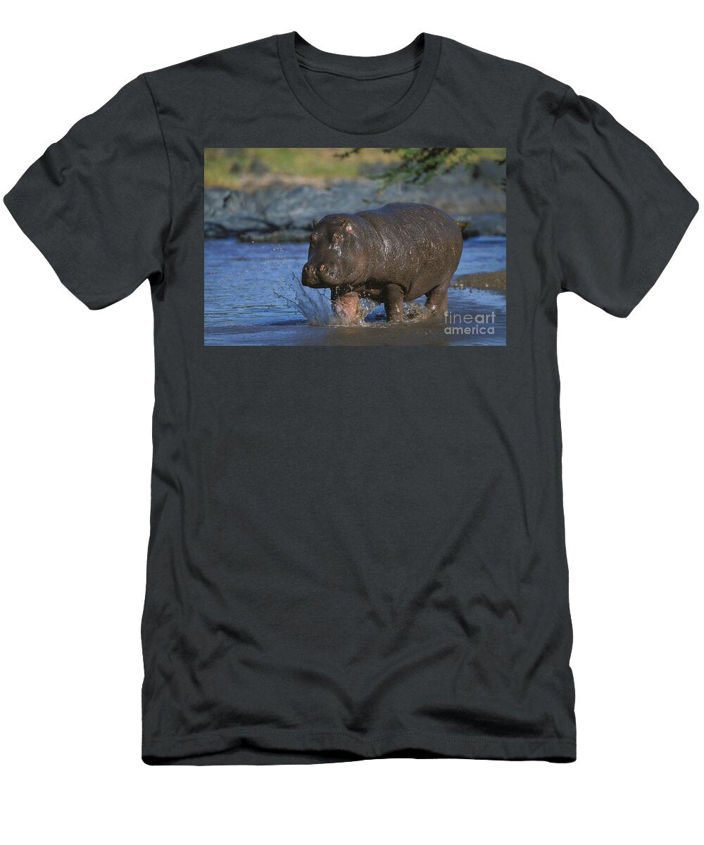 6 Hippopotamus Hippopotamus Amphibius Gerard Lacz T-Shirt