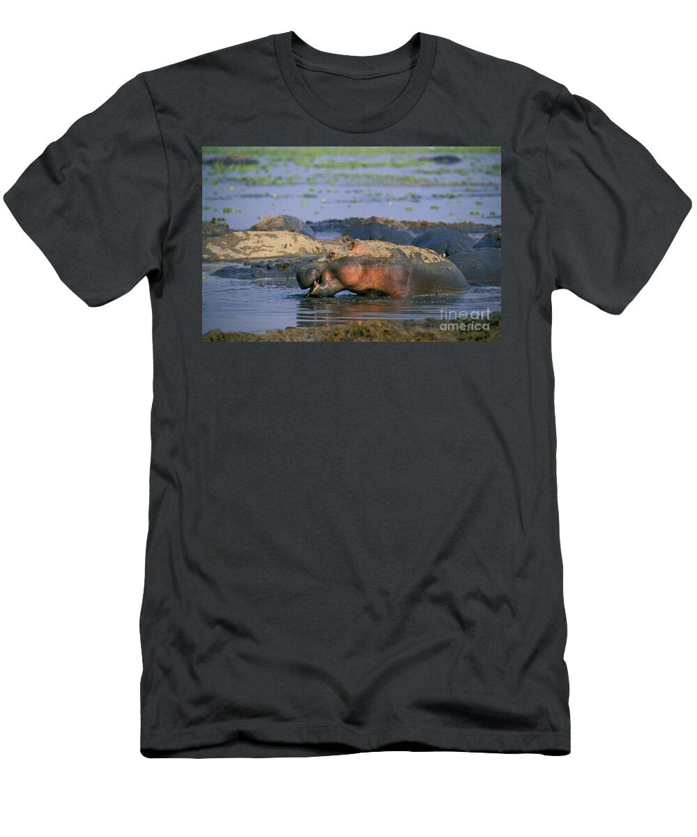 7 Hippopotamus Hippopotamus Amphibius Gerard Lacz T-Shirt