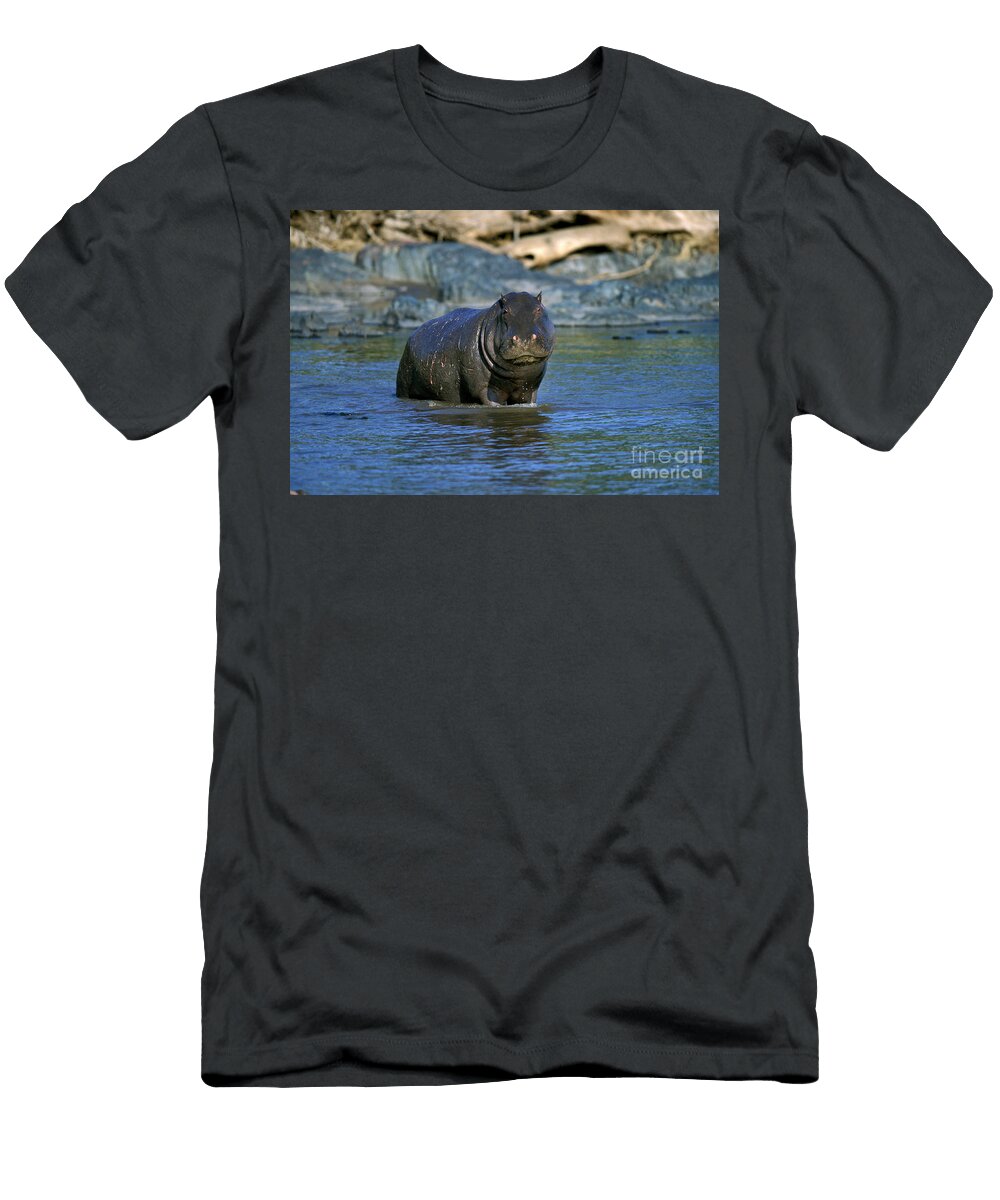 8 Hippopotamus Hippopotamus Amphibius Gerard Lacz T-Shirt