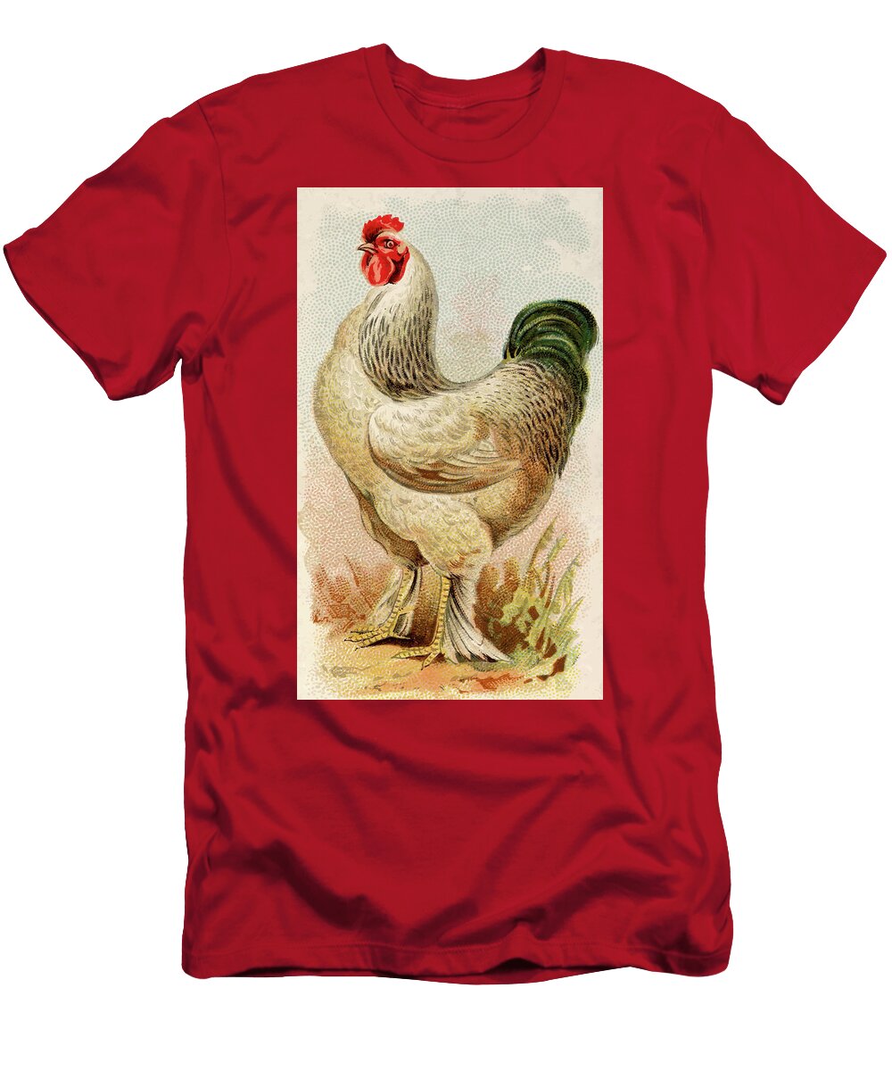 American Light Brahma Chicken Vintage Animal Illustration Picked and Shared T-Shirt