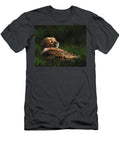 Cheetah Cub in Grass David Stribbling T-Shirt