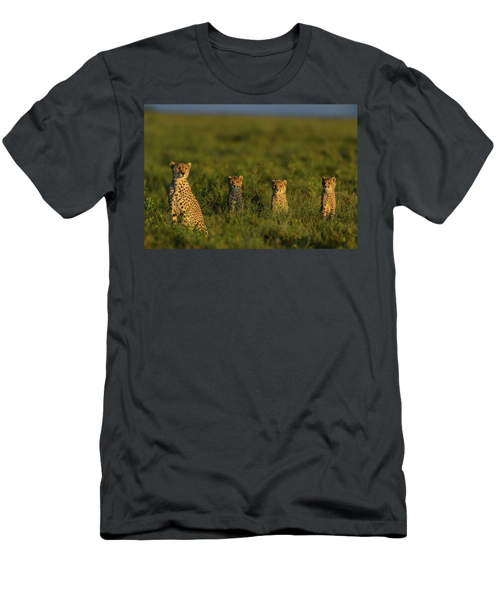 Cheetah Female with Three Cubs Aged Approx 8 Months Nick Garbutt Natureplcom T-Shirt