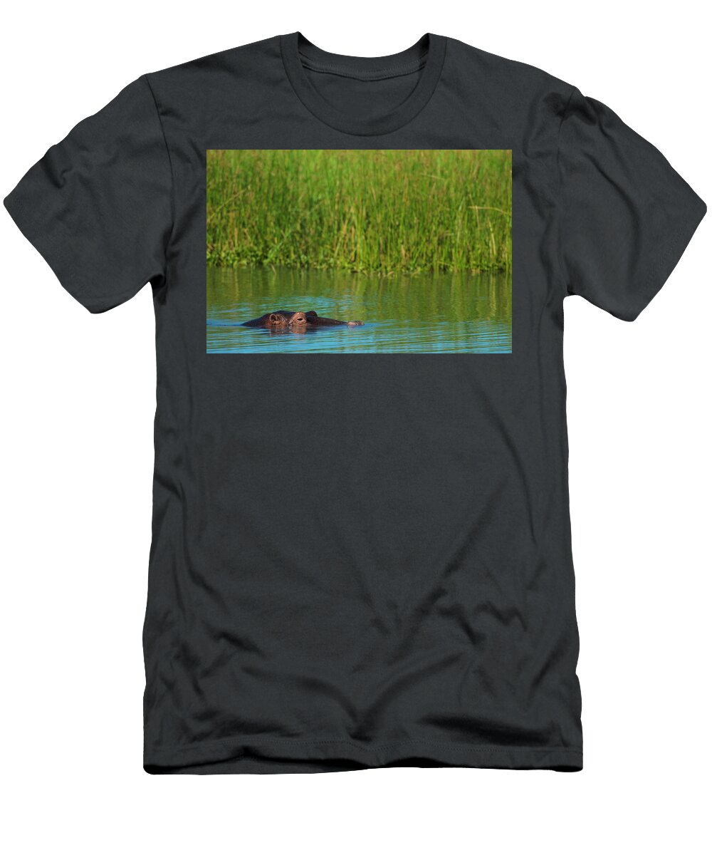 Hippo Hippopotamus Amphibius Peeking Ian Cumming T-Shirt