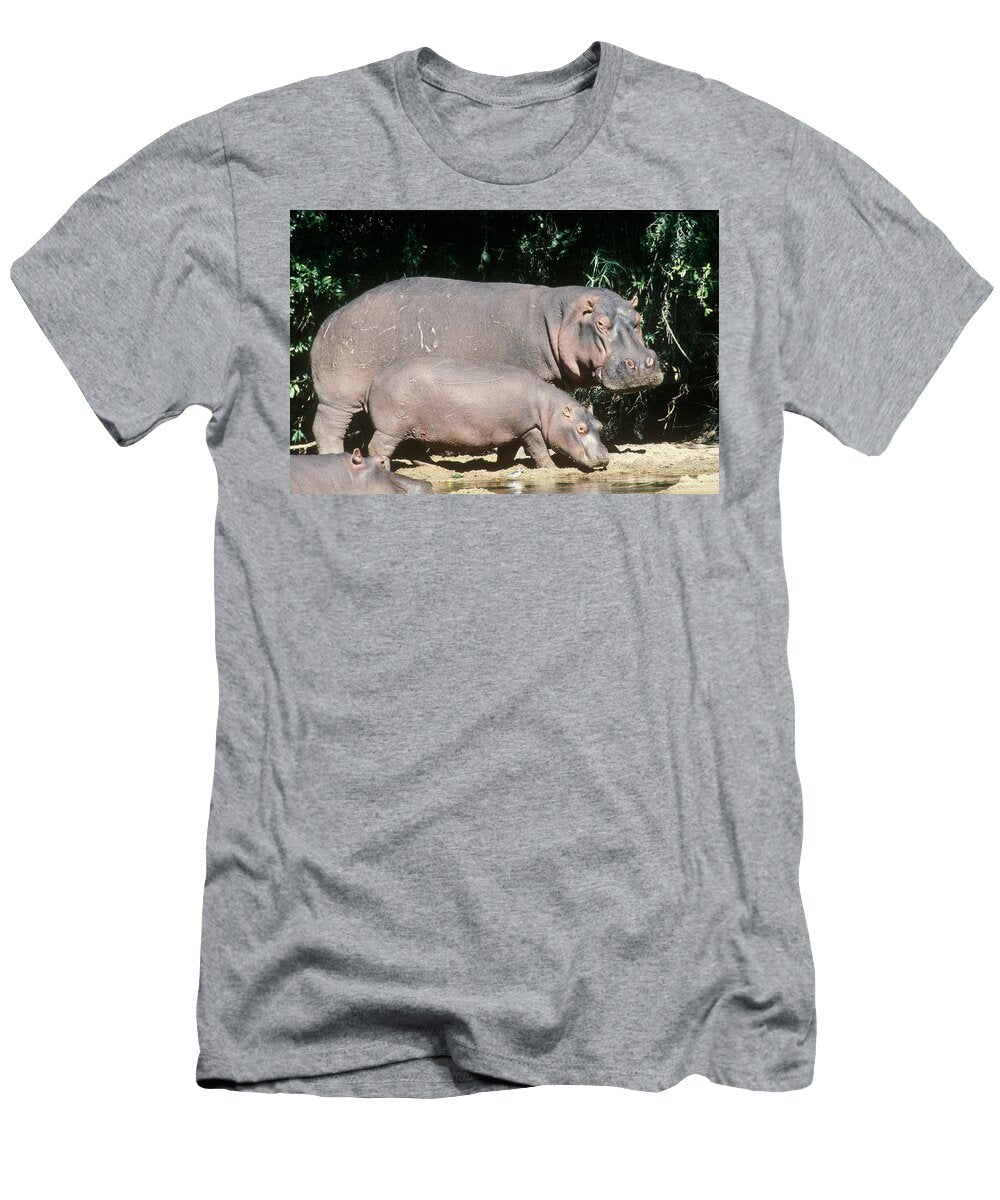 Hippopotamus Cow and Calf Mitch Reardon T-Shirt