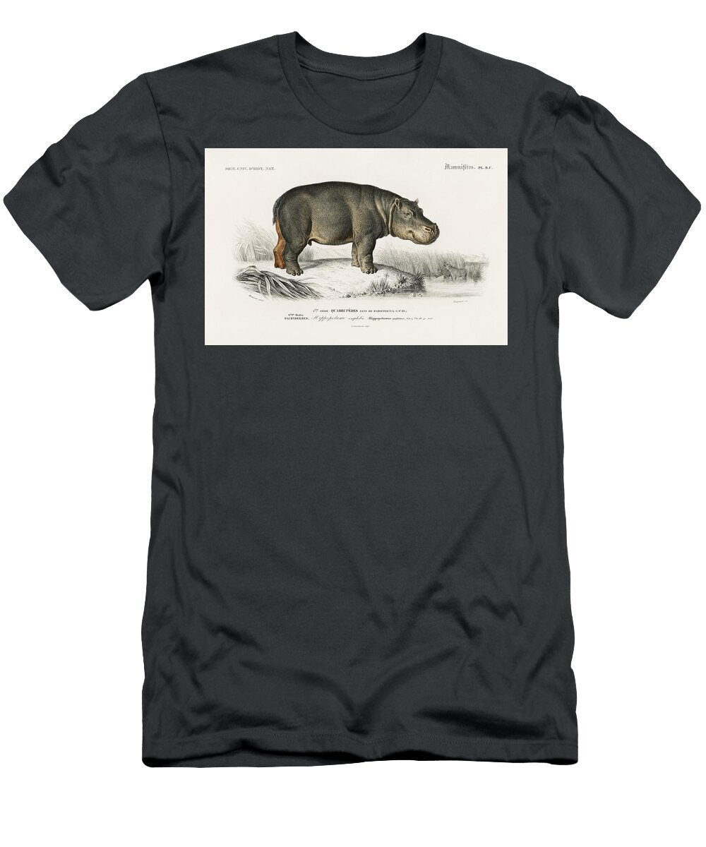 Hippopotamus Hippopotame Amphibie Illustrated By Charles Dessalines D Orbigny 1806 1876 Linoprints T-Shirt