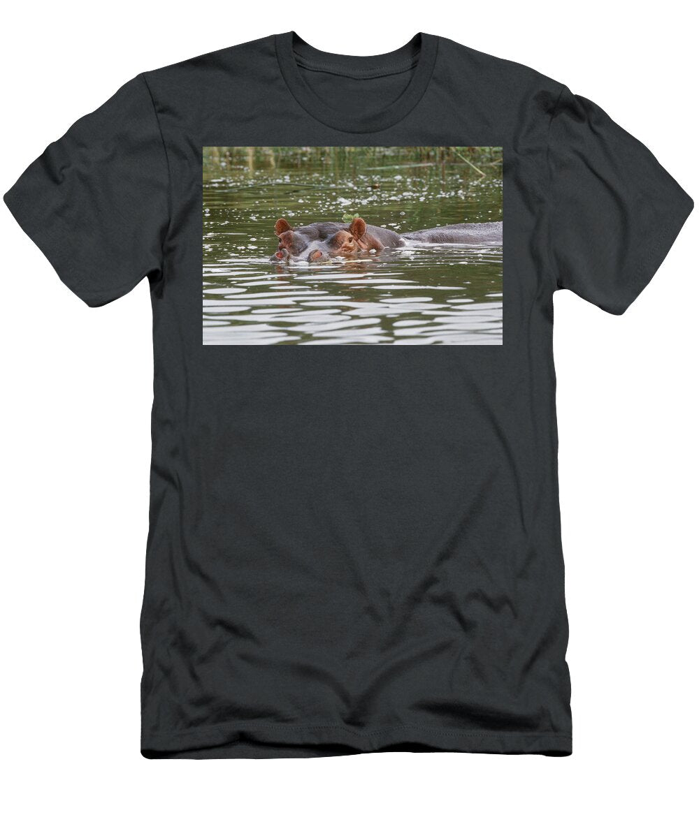 Hippopotamus Hippopotamus Amphibius Charles Angelo T-Shirt