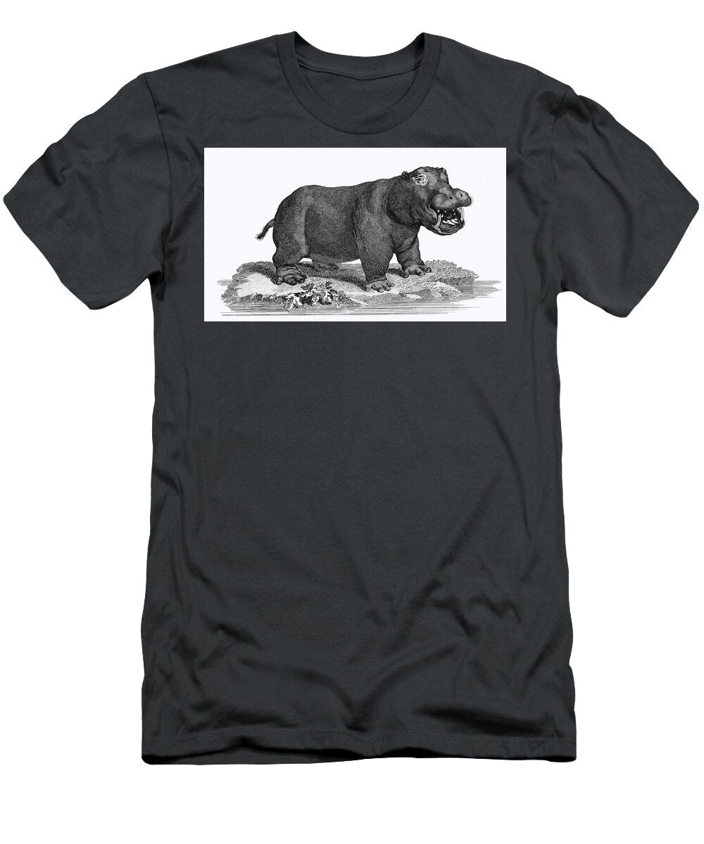 Illustration of Hippopotamus From Zoological Lectures Delivered At the Royal Institution in the Year Les Classics T-Shirt