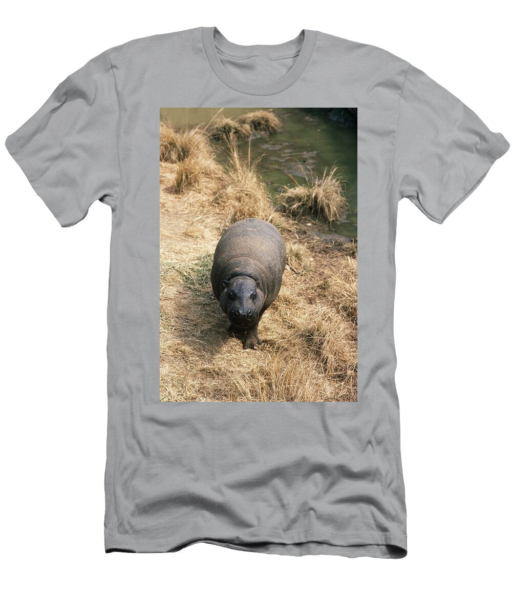 Pygmy Hippopotamus Ab Joyce T-Shirt