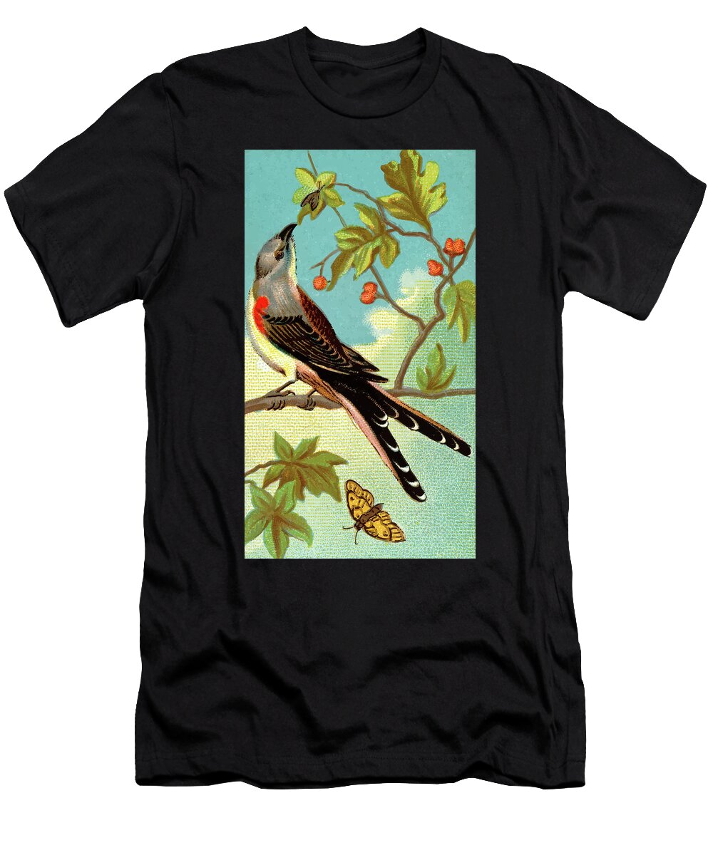 Swallow Tailed Flycatcher Vintage Animal Illustration Picked and Shared T-Shirt