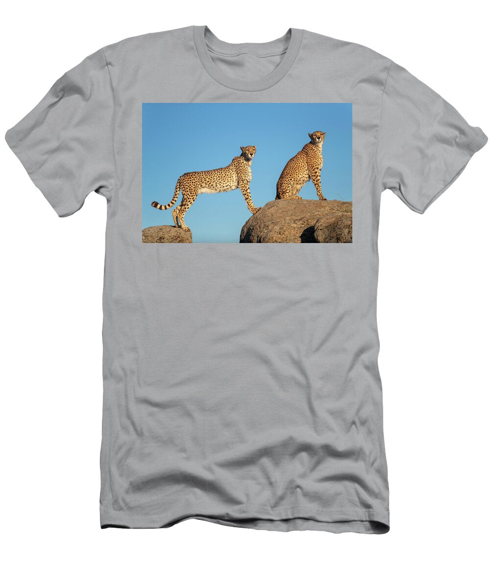 Two Cheetahs Standing and Sitting on Rocks Against Blue Sylvain Cordier Natureplcom T-Shirt